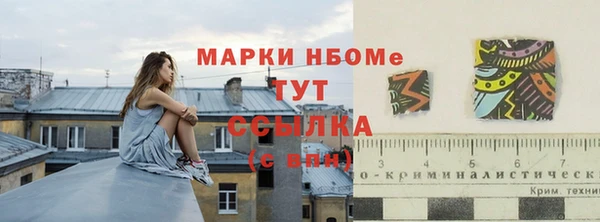стаф Абаза