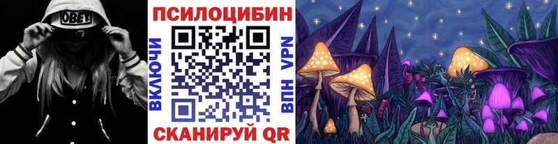 MEGA маркетплейс Новосибирск Псилоцибиновые грибы мухоморы