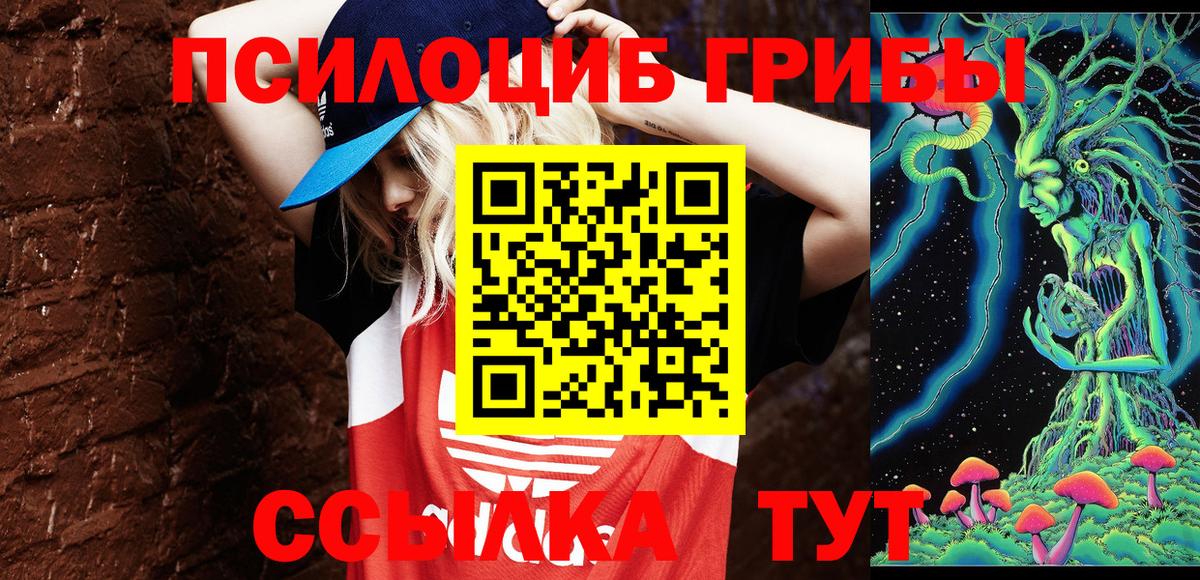 Псилоцибиновые грибы мухоморы Новосибирск
