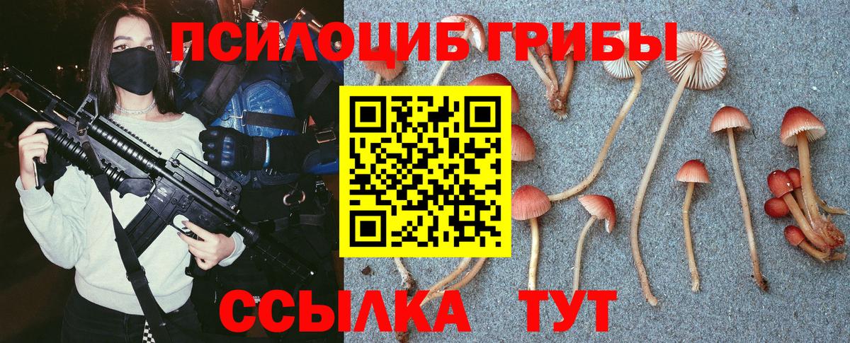 Галлюциногенные грибы GOLDEN TEACHER  Вход с VPN  Новосибирск 