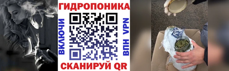 где найти наркотики Новосибирск Каннабис планчик